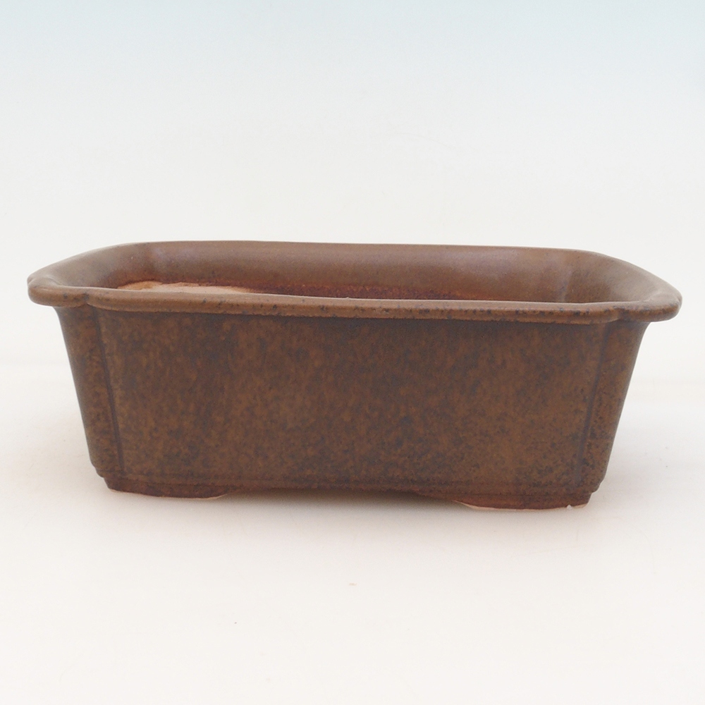 Bonsaischale H50 - 17 x 12,5 x 5,5 cm - braun