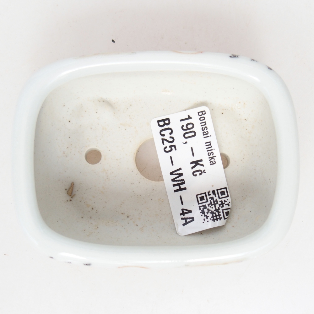 Mini-Bonsaischale 8 x 6 x 3 cm, weiß