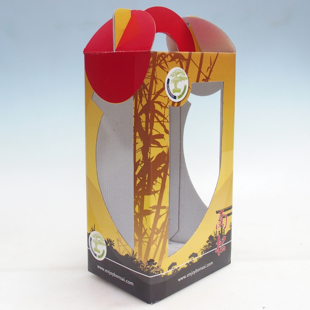Geschenk-Bonsai-Box - Papier