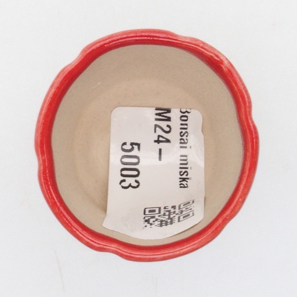 Mini-Bonsaischale 3,5 x 3,5 x 4 cm, Farbe rot