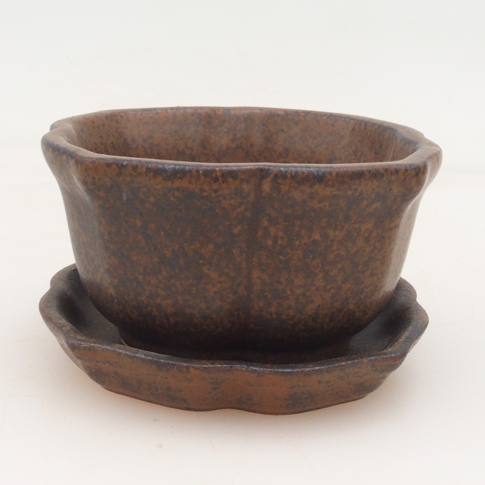 Bonsaischale + Untertasse H95 - braun