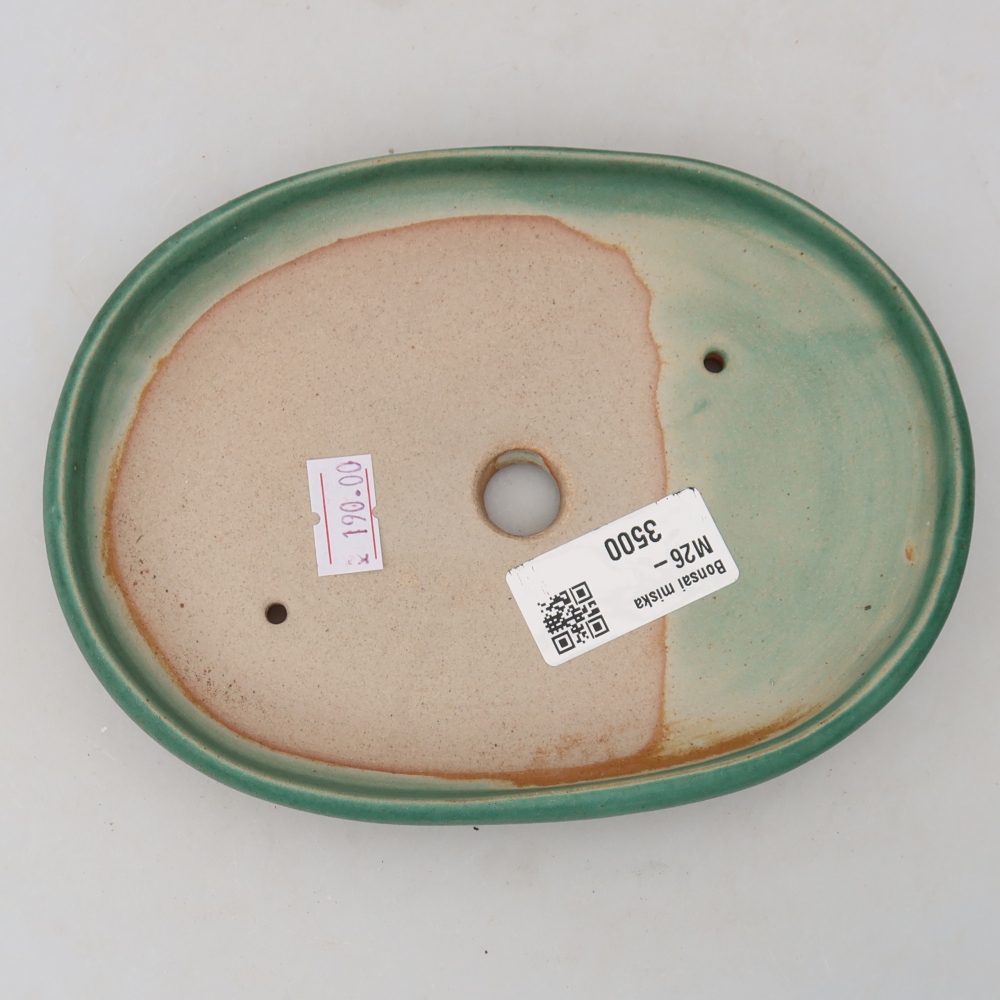 Keramik-Bonsai-Schale 17 × 12 × 2,5 cm, Farbe: grün