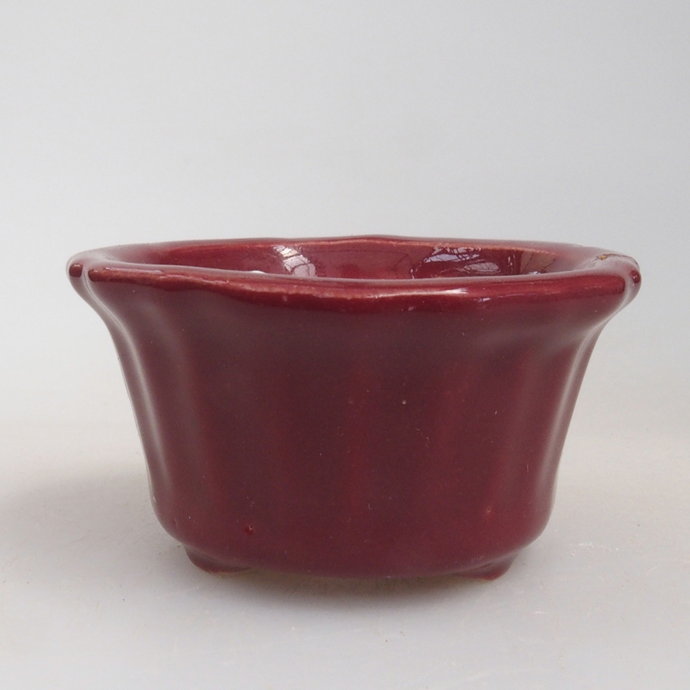Mini-Bonsaischale 5 x 5 x 2,5 cm, Farbe burgunderrot