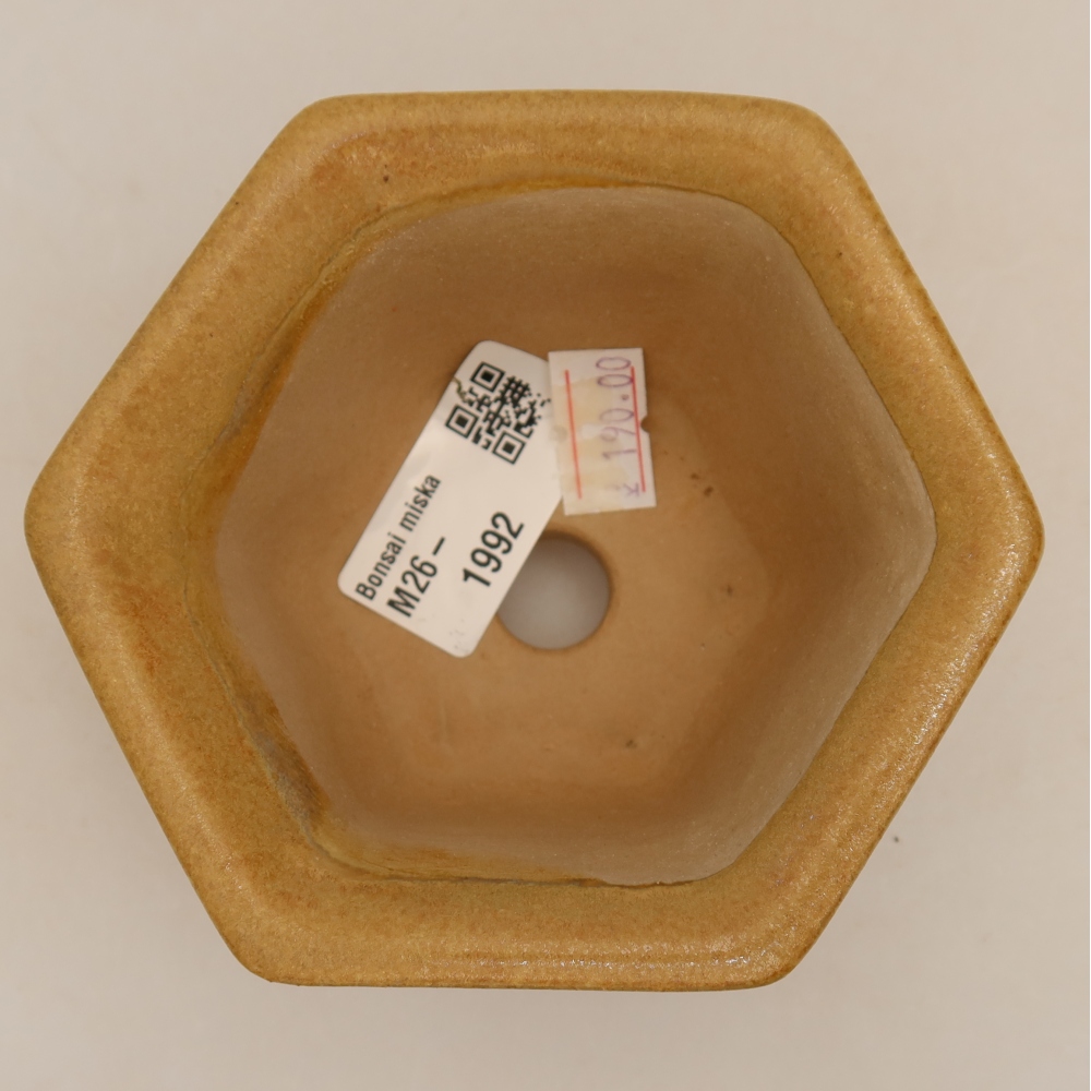 Keramik-Bonsai-Schale, 10,5 × 9,5 × 5,5 cm, Farbe: Beige