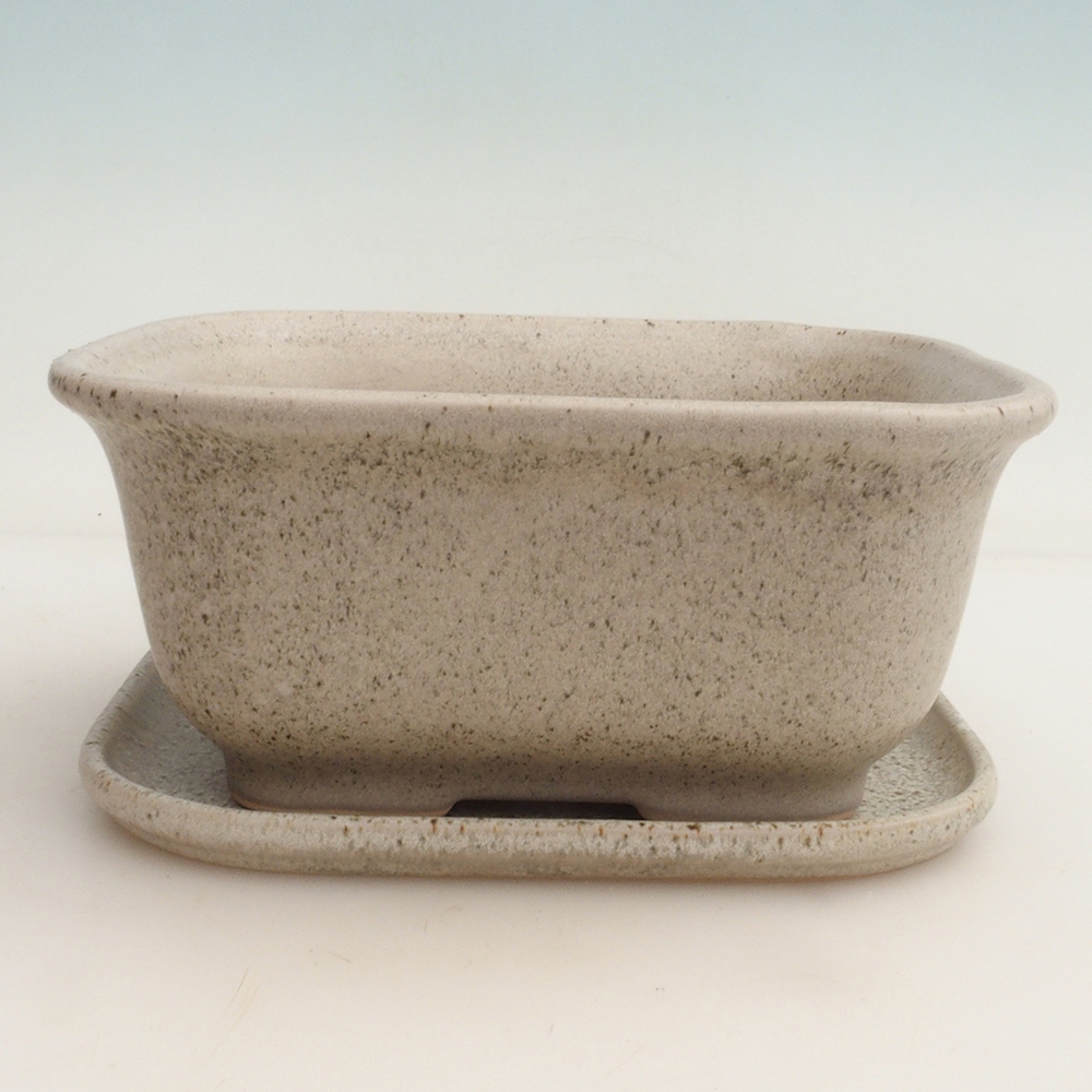 Bonsaischale + Untertasse H36 - 17 x 15 x 7,5 cm.