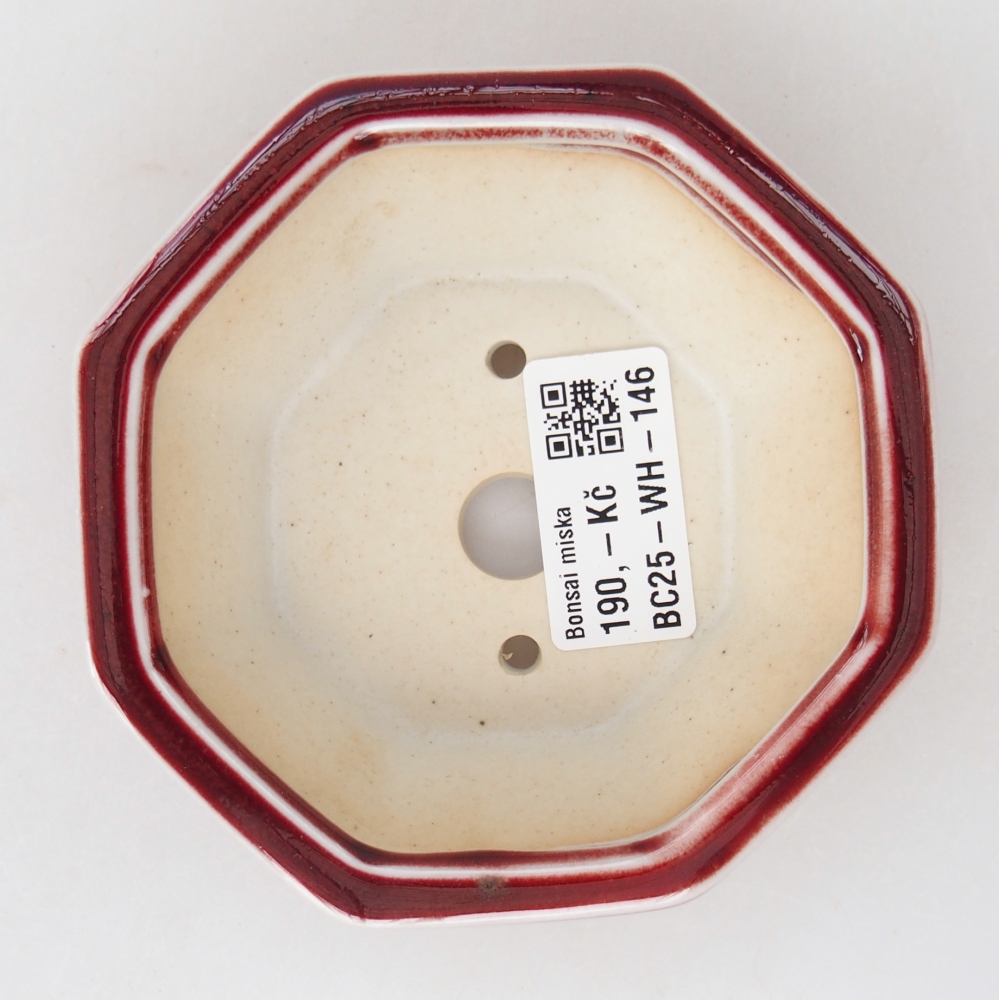 Mini-Bonsaischale 11 x 10 x 3,5 cm, Farbe rot