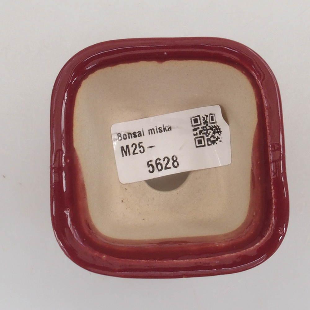 Mini-Bonsaischale 6 x 6 x 4,5 cm, bordeauxrot