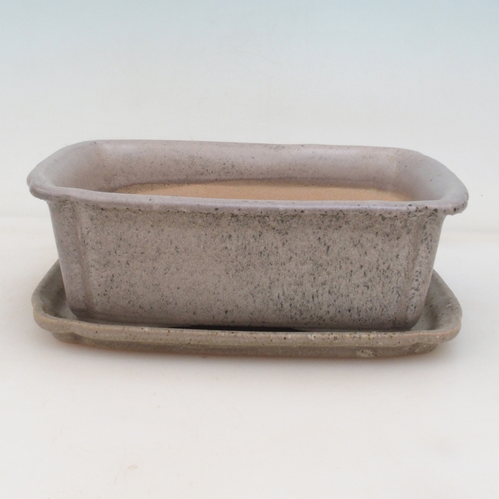 Bonsaischale + Untertasse H50 - 17x12,5x5,5 cm