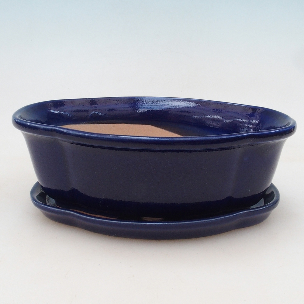 Bonsaischale + Untertasse H75 - 19 x 14 x 6,5 cm