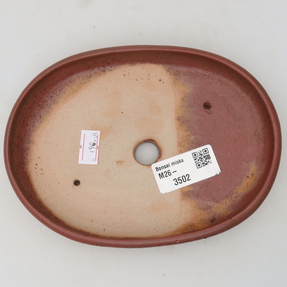 Keramik-Bonsai-Schale, 17 × 12 × 2,5 cm, Farbe: Rosa