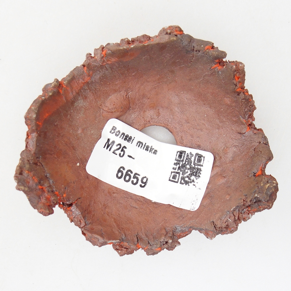 Keramische Muschel 7 x 7 x 3 cm , Farbe orange