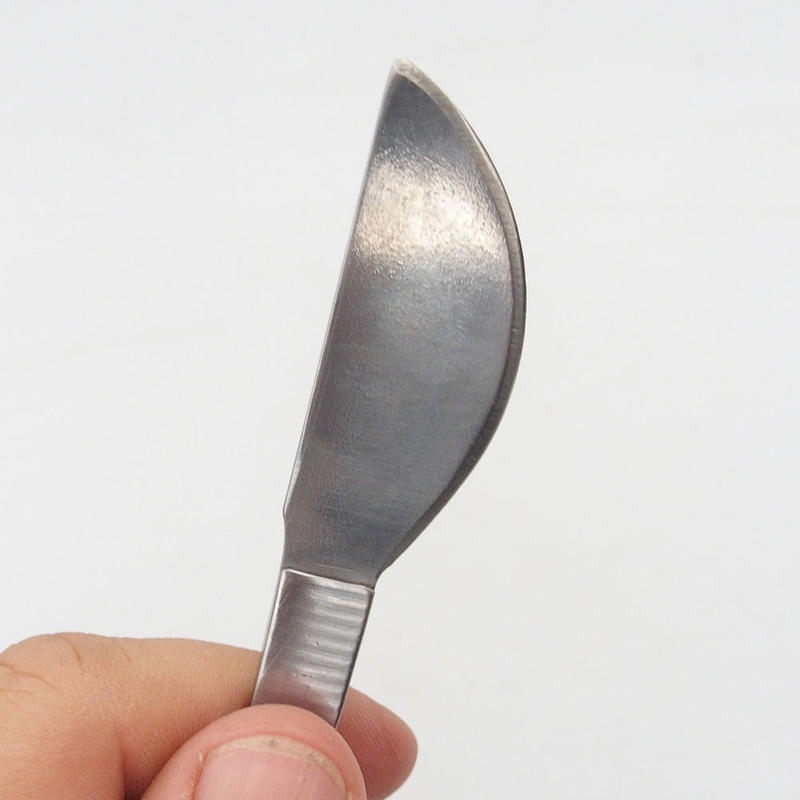 Spatel und Pinzette 22 cm - rostfreier Stahl