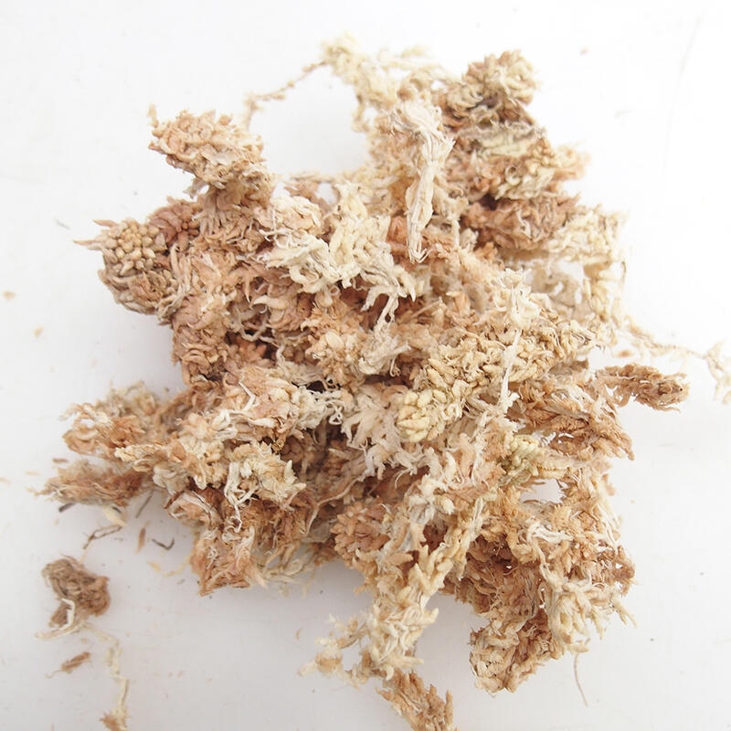 Sphagnum - Torfmoos 1 kg