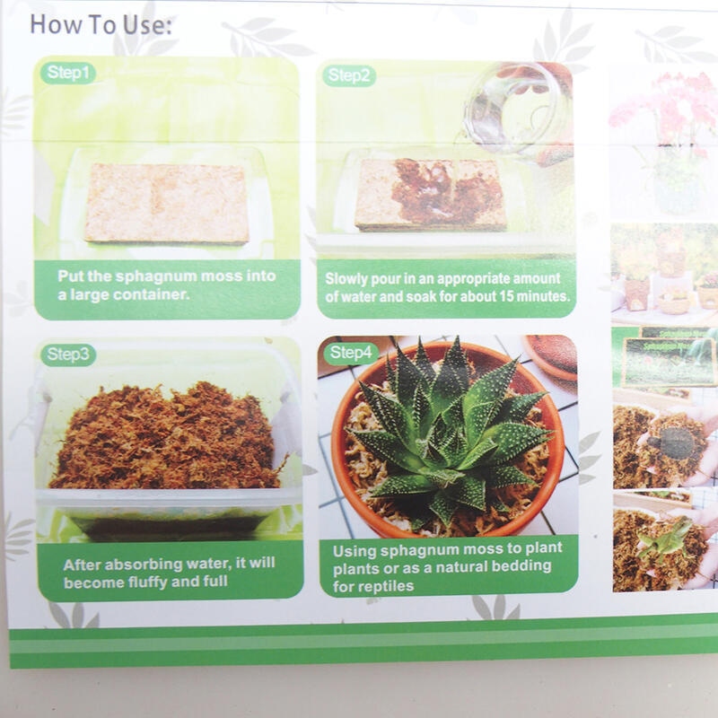 Sphagnum - Torfmoos 250 gr