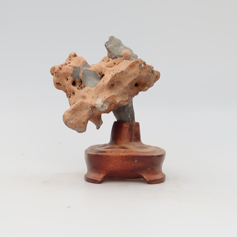 Suiseki - Stein mit DAI (Holzsockel)