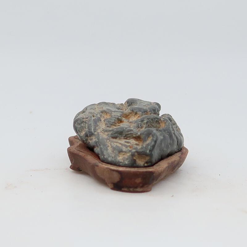 Suiseki - Stein mit DAI (Holzsockel)