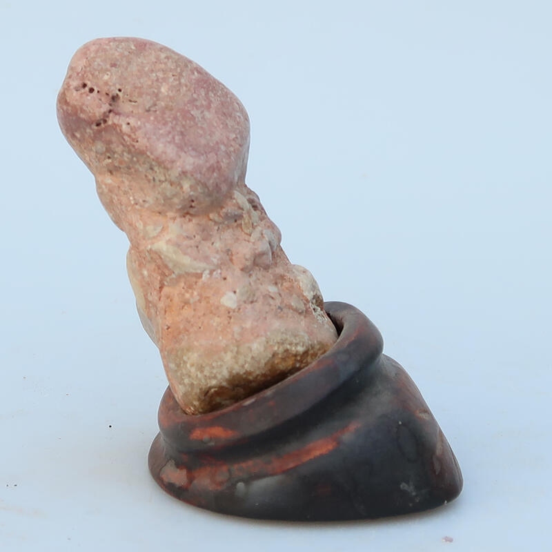 Suiseki - Stein mit DAI (Holzsockel)