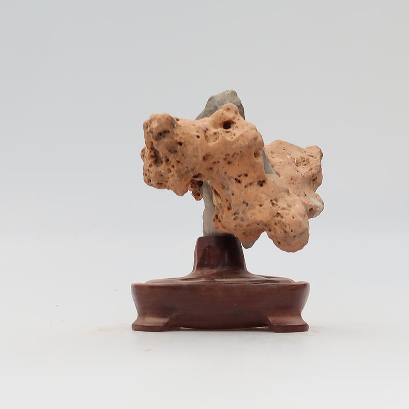 Suiseki - Stein mit DAI (Holzsockel)