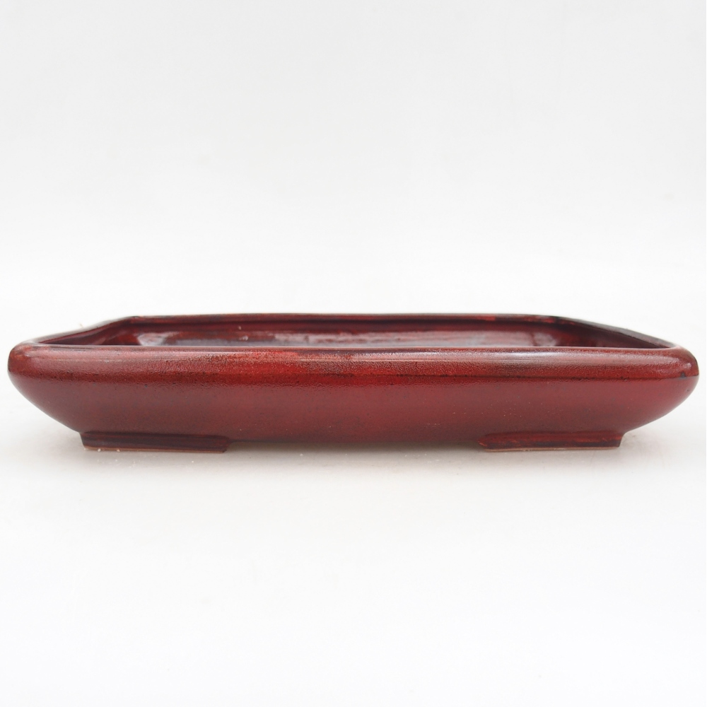 Bonsaischale aus Keramik 24 x 17,5 x 4 cm, Farbe rot