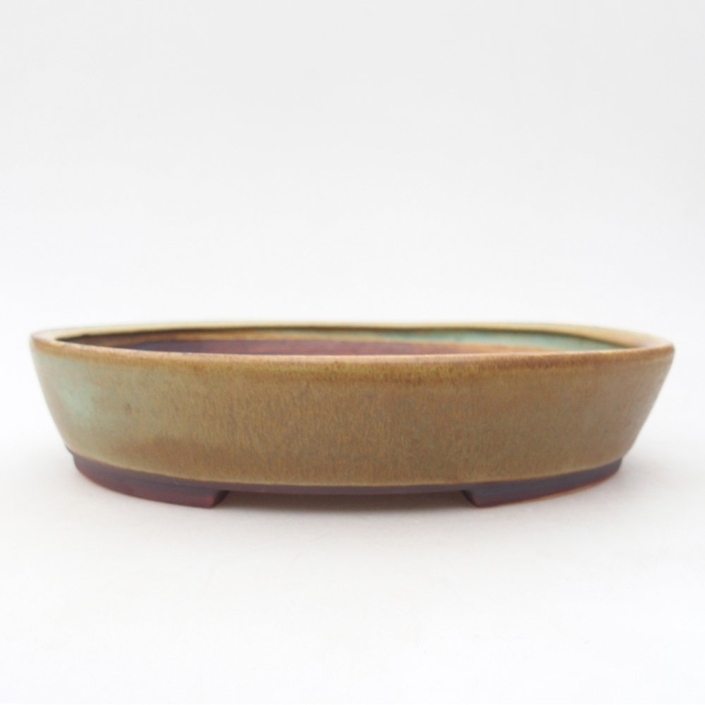 Bonsaischale aus Keramik 22,5 x 20 x 4,5 cm, grün