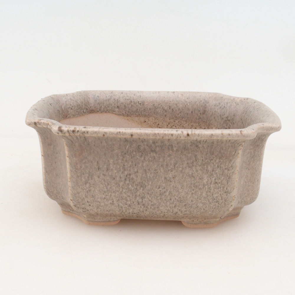 Bonsaischale + Untertasse H01 - beige