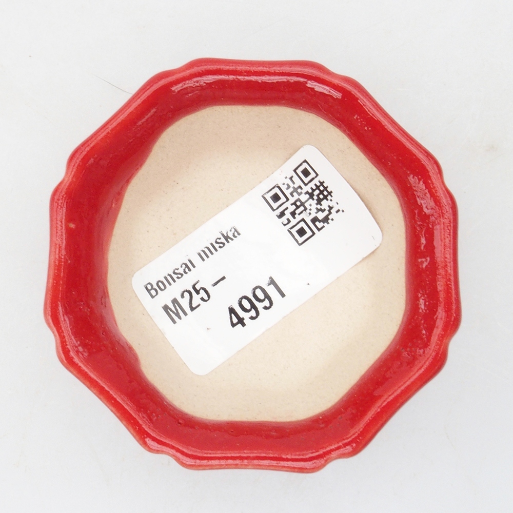 Mini-Bonsaischale 6 x 6 x 2 cm, Farbe rot