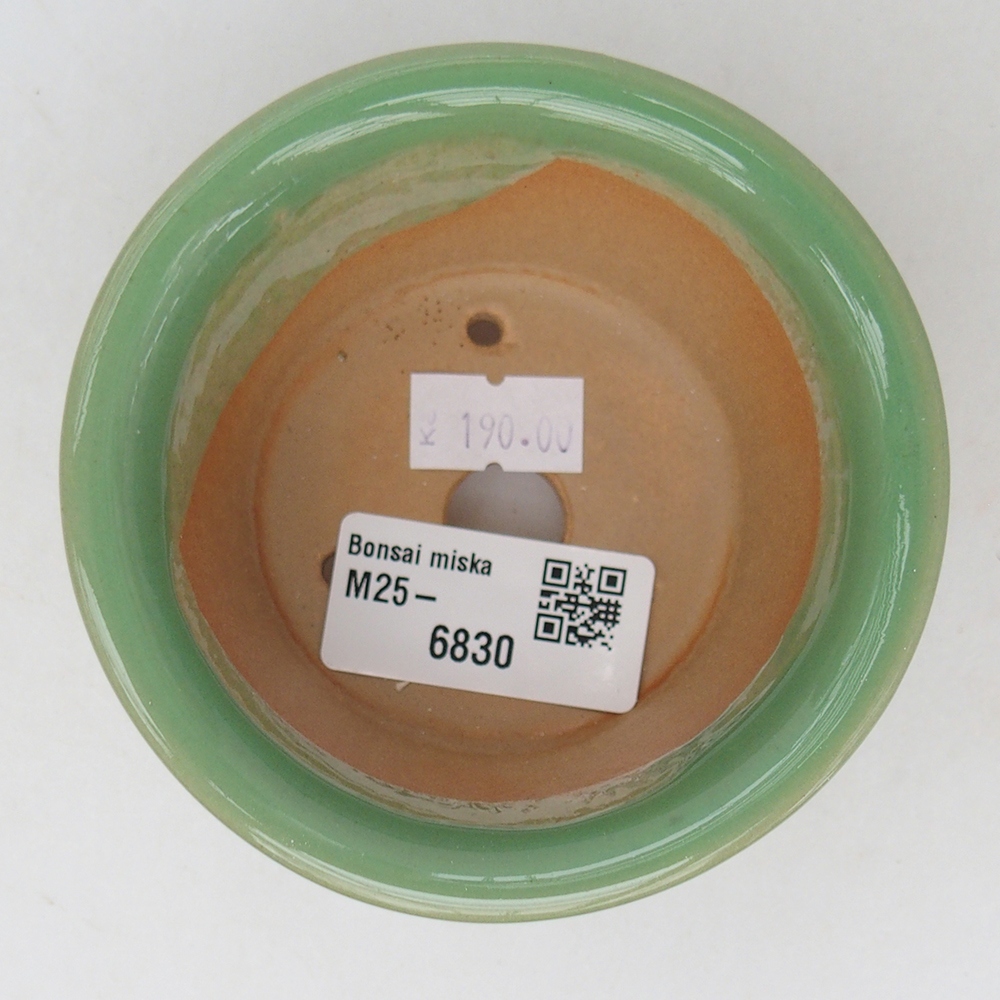 Bonsaischale aus Keramik 9 x 9 x 5 cm, grün