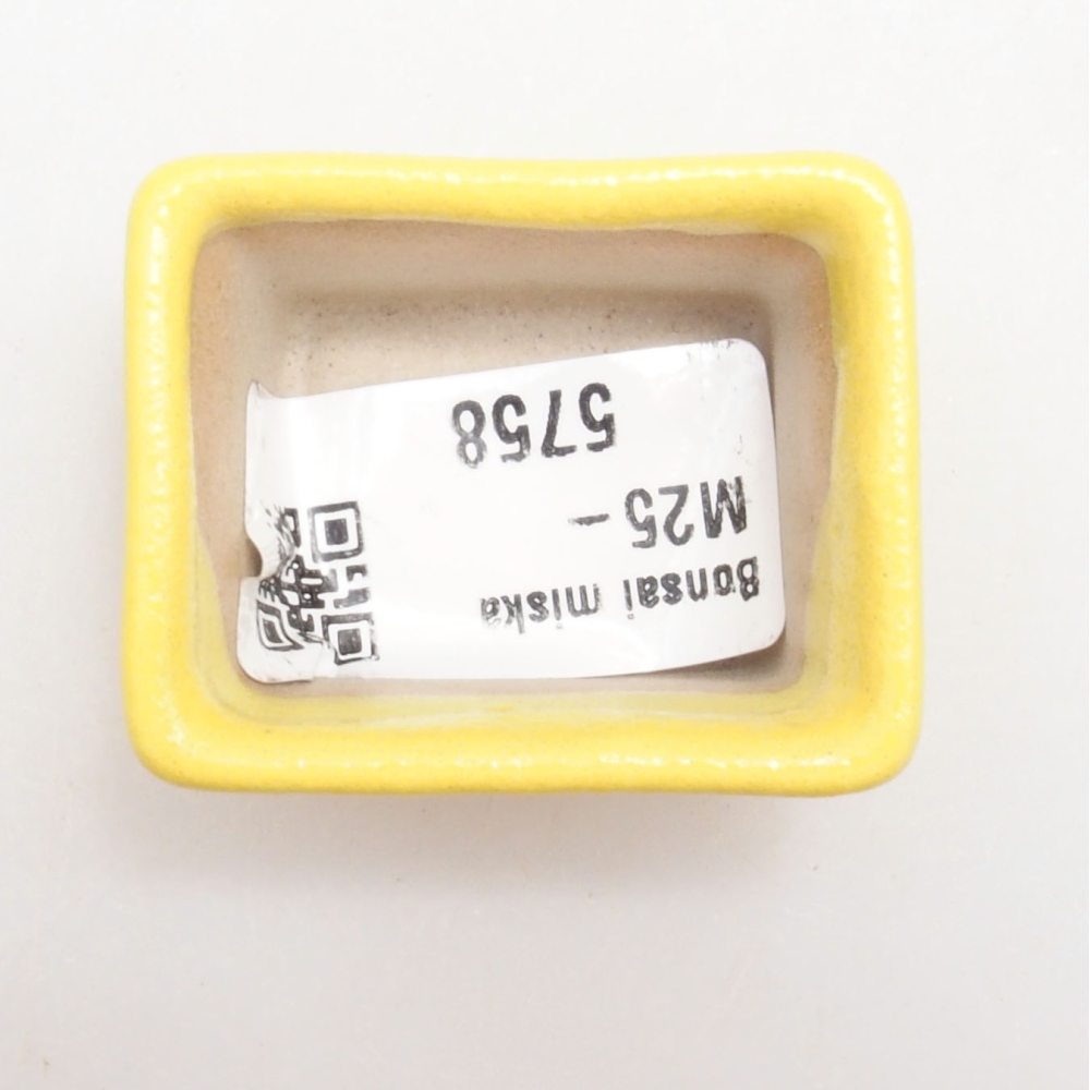 Bonsaischale aus Keramik 4 x 3,5 x 2,5 cm, gelb