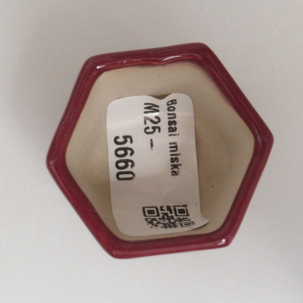 Mini-Bonsaischale 4 x 4 x 3,5 cm, bordeauxrot