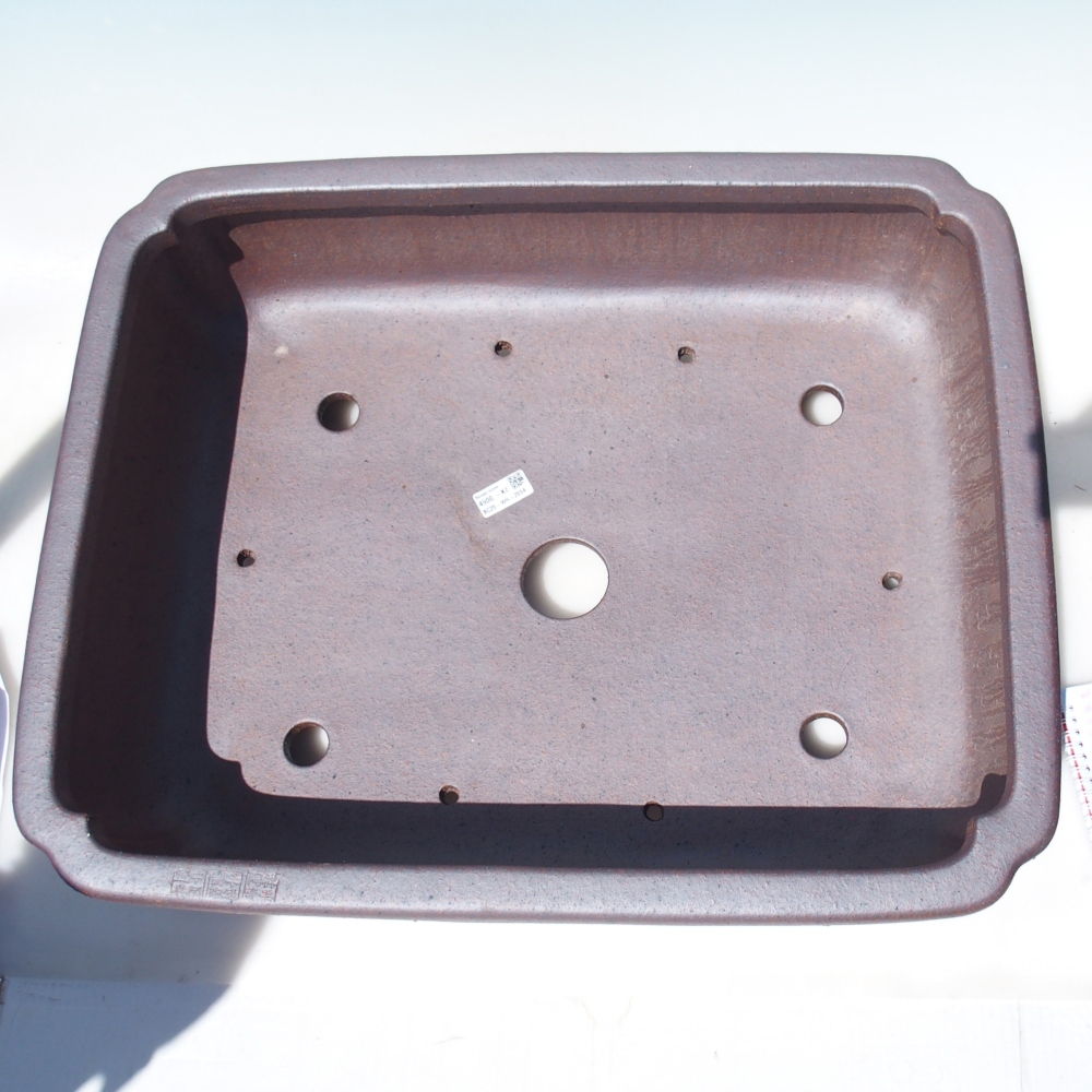 Schale 61,5 x 49 x 17 cm braun - NUR PERSÖNLICHE ABHOLUNG ODER PALLETTENVERKEHR