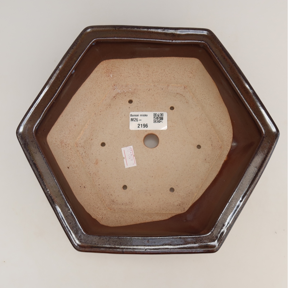 Keramik-Bonsai-Schale, 24 x 21,5 x 7,5 cm, Farbe: Braun