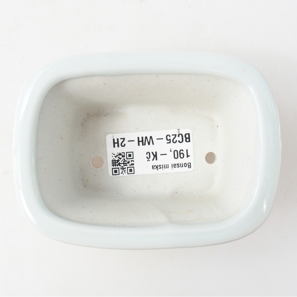 Mini-Bonsaischale 10 x 7,5 x 4 cm, Farbe weiß