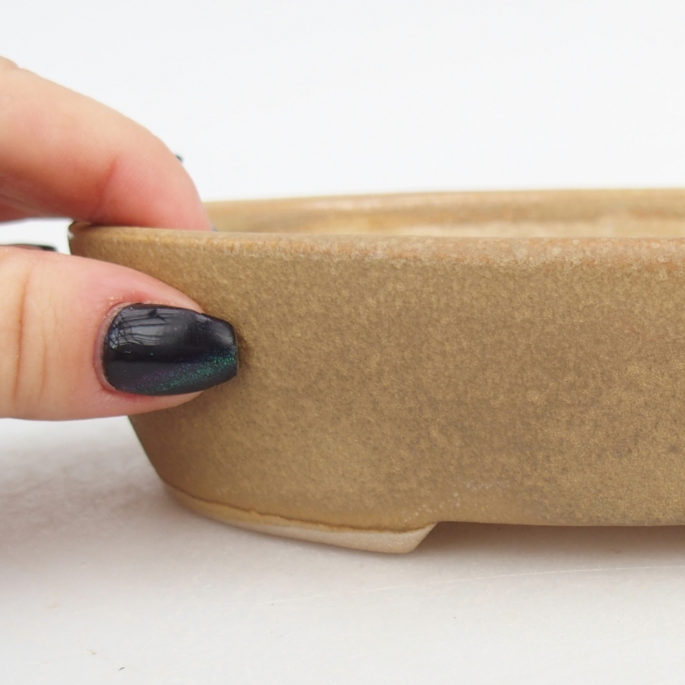 Bonsaischale aus Keramik 17 x 14 x 4 cm, Farbe beige