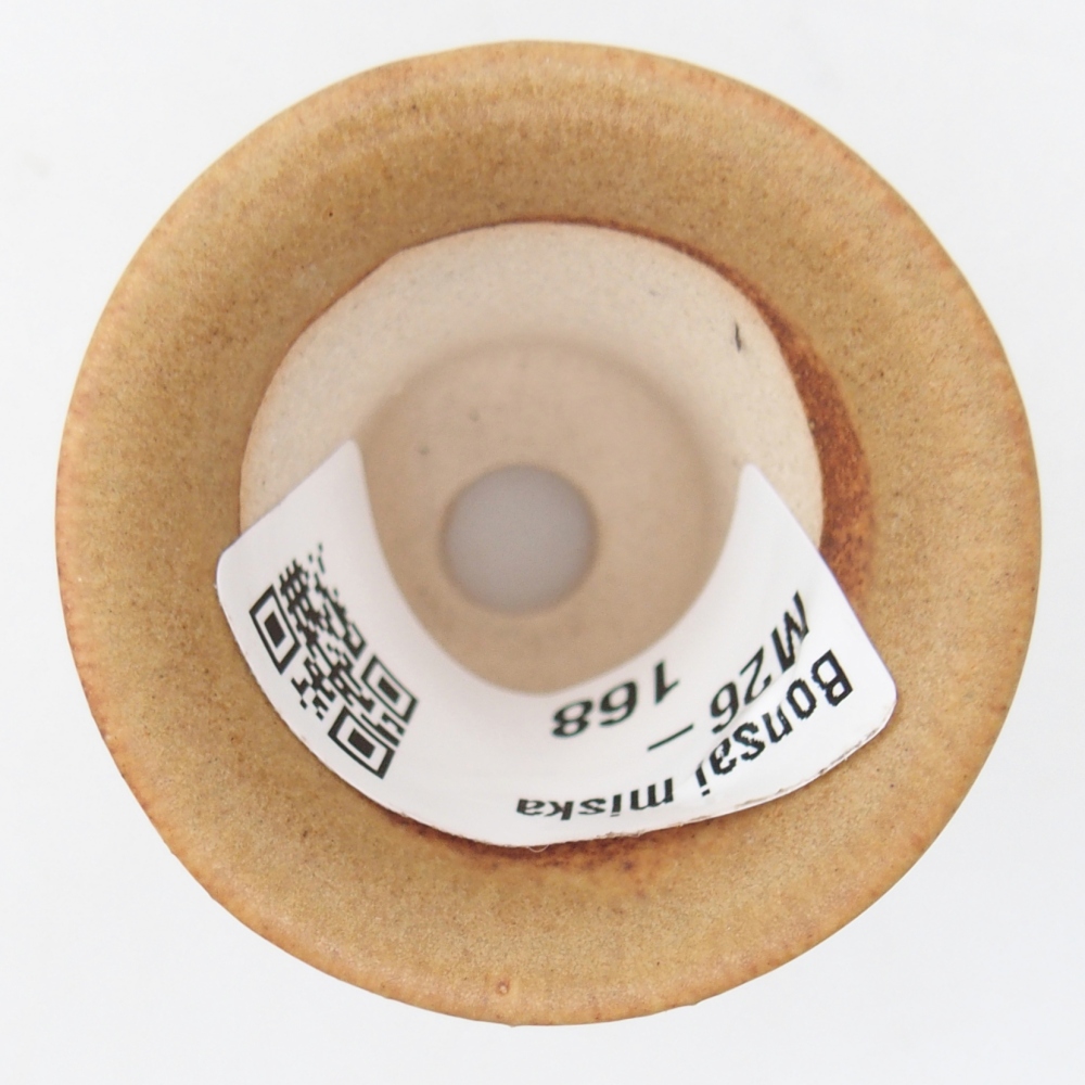 Mini-Bonsaischale 4,5 x 4,5 x 4 cm, braun