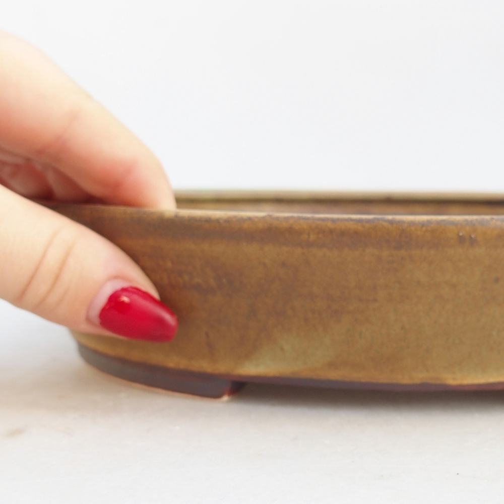 Bonsaischale aus Keramik 21 x 19 x 4,5 cm, grün