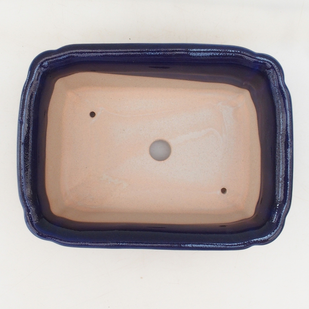 Bonsaischale H50 - 17 x 12,5 x 5,5 cm - blau