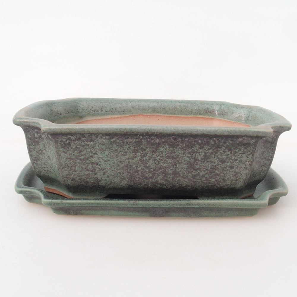 Bonsaischale + Untertasse H17 - 15 x 10 x 4 cm.