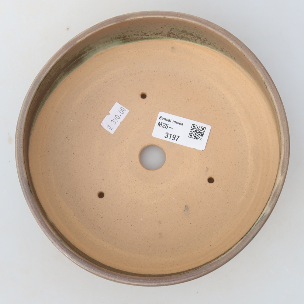 Keramik-Bonsai-Schale 18 x 18 x 6,5 cm, Farbe: Beige