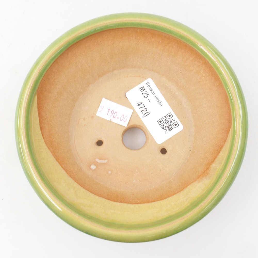 Bonsaischale aus Keramik 13,5 x 13,5 x 5 cm, grün