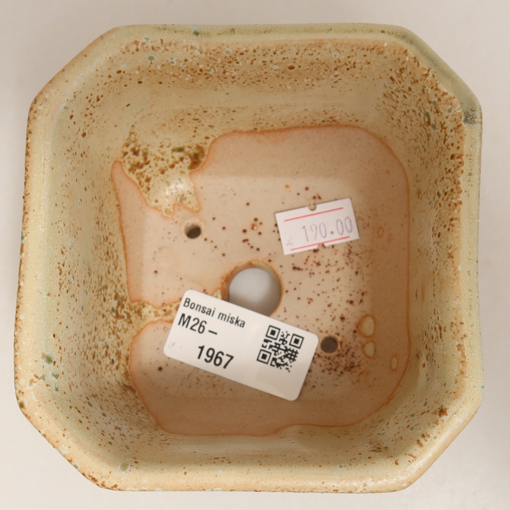 Keramik-Bonsai-Schale 10 x 10 x 6,5 cm, Farbe: grün