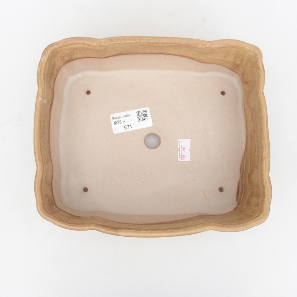 Bonsaischale aus Keramik 20 x 17,5 x 7 cm, Farbe beige