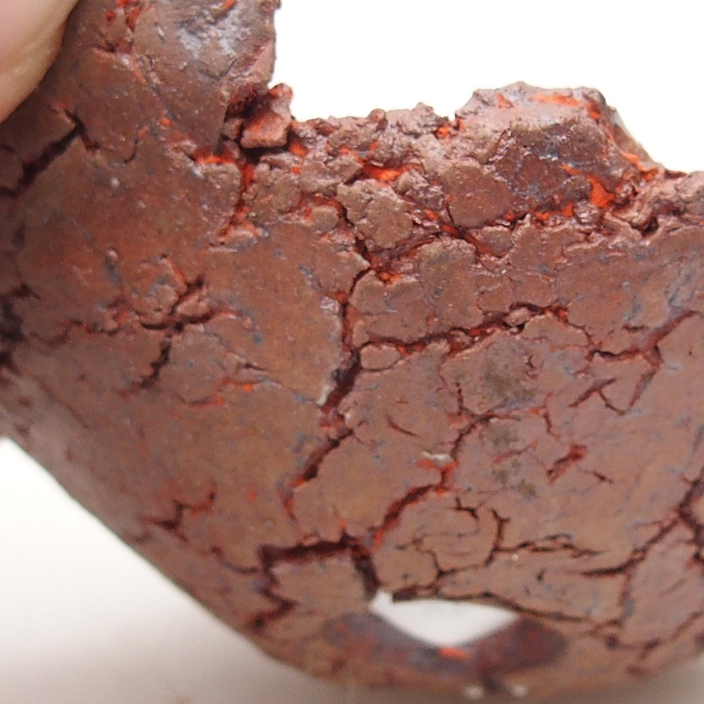 Keramische Muschel 7 x 7 x 3 cm , Farbe orange