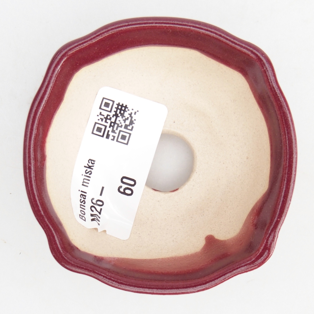 Mini-Bonsaischale 6,5 x 6,5 x 3 cm, bordeauxrot