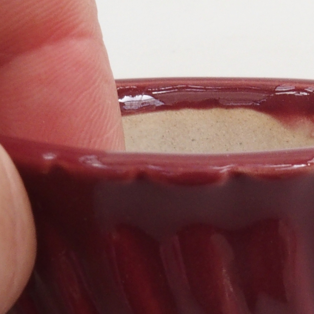 Mini-Bonsaischale 5 x 5 x 2,5 cm, Farbe bordeauxrot