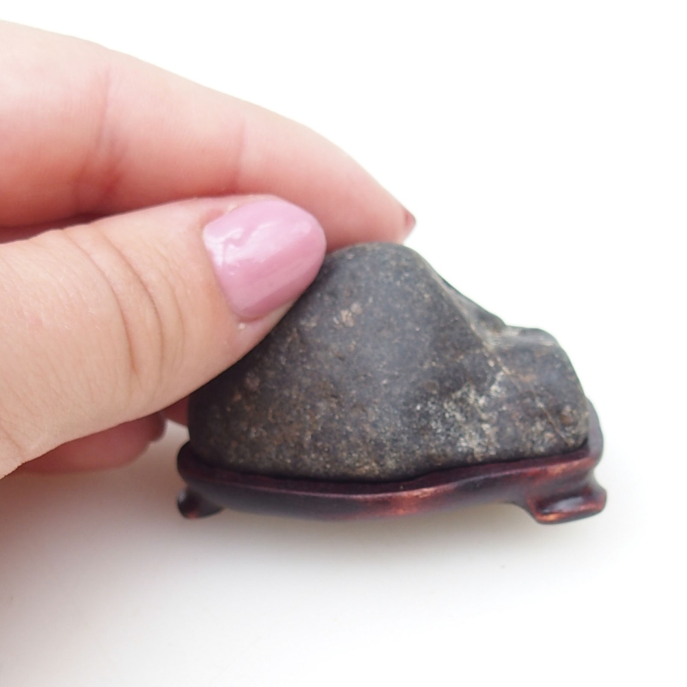 Suiseki - Stein mit DAI (Holzsockel)