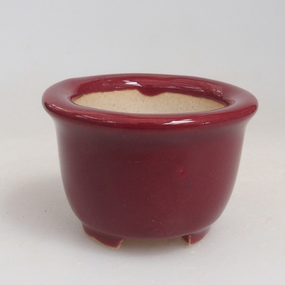 Mini-Bonsaischale 3,5 x 3,5 x 2,5 cm, bordeauxrot