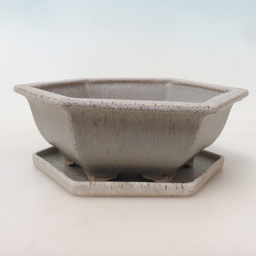 Bonsaischale + Untertasse H53 - 19 x 21,5 x 7 cm - beige