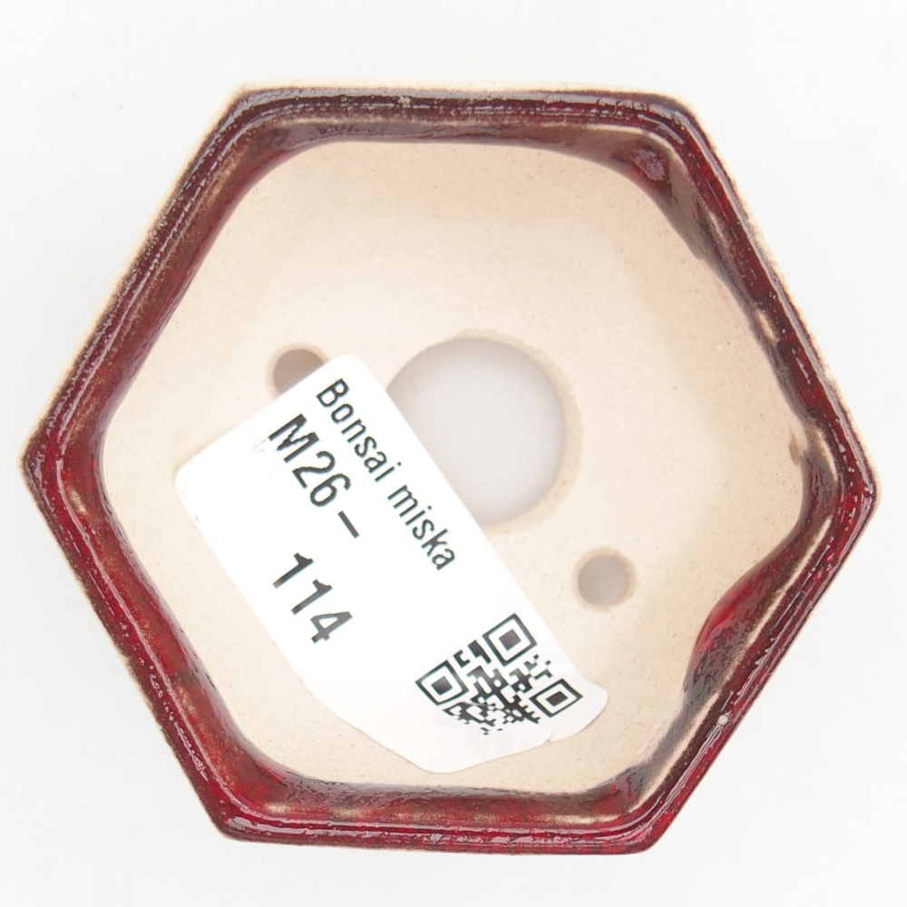 Mini-Bonsaischale 6 x 5,5 x 3 cm, Farbe rot
