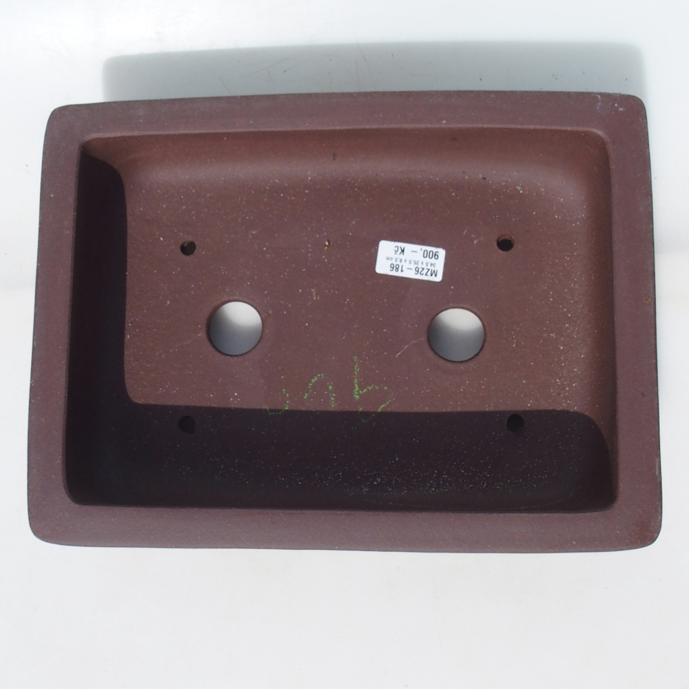 Bonsaischale 34,5 x 25,5 x 8,5 cm Birke braun