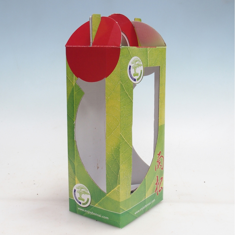 Geschenk-Bonsai-Box - Papier